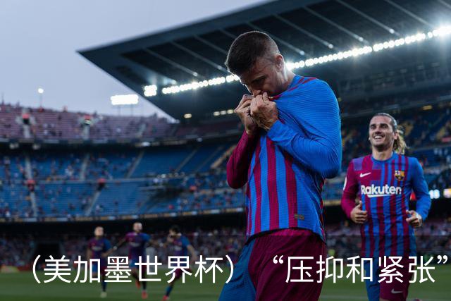（美加墨世界杯）“压抑和紧张”中的伊朗队首秀