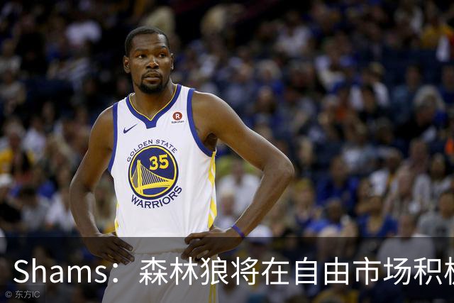 Shams：森林狼将在自由市场积极补强4号位 但他们只能提供底薪